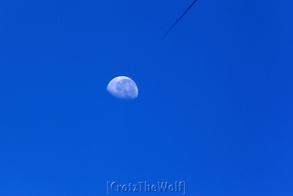 moon in the blue