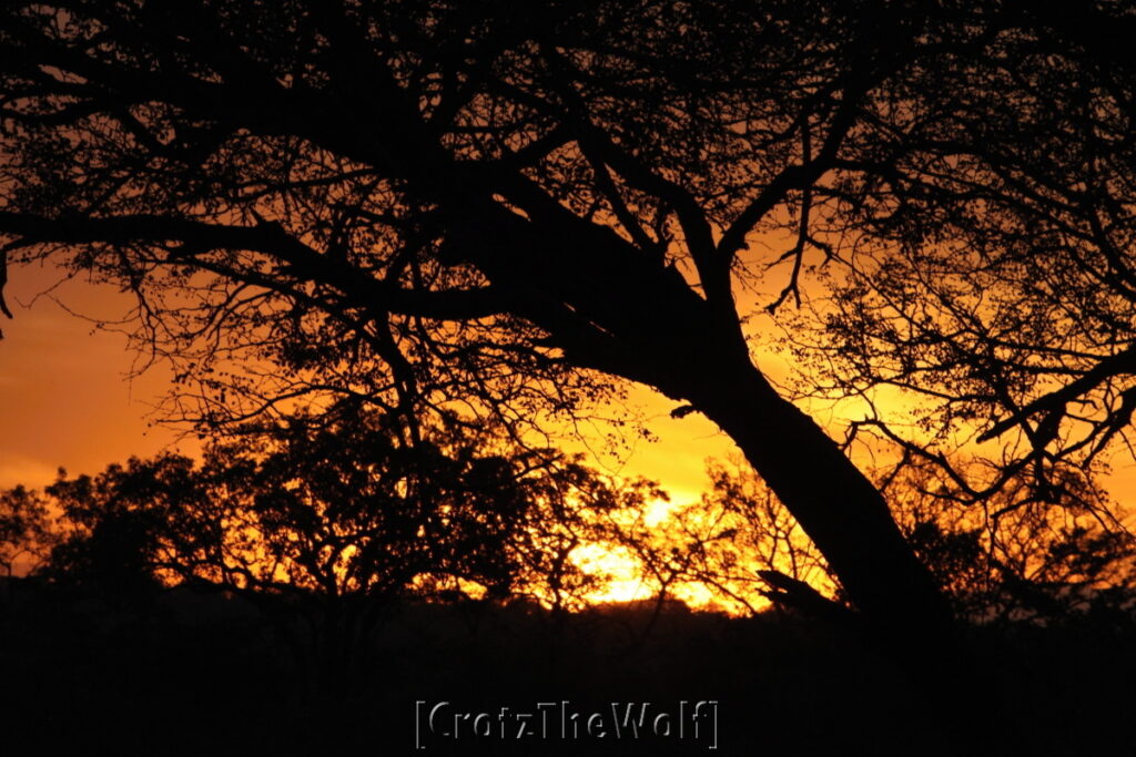 sunset in kruger park