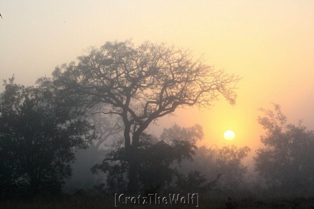 misty sunrise