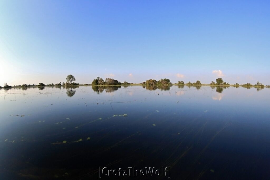 okavanga landscape