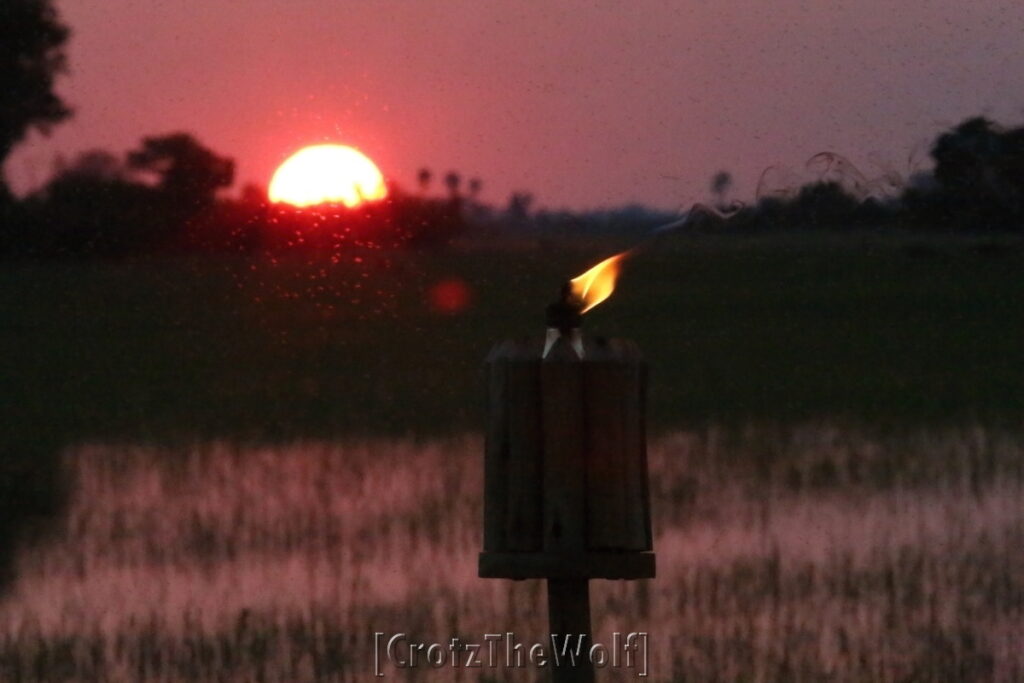 okavango sunset